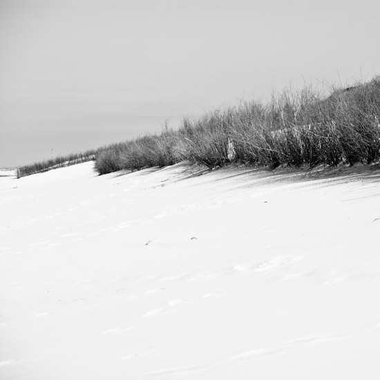 wangerooge dunes