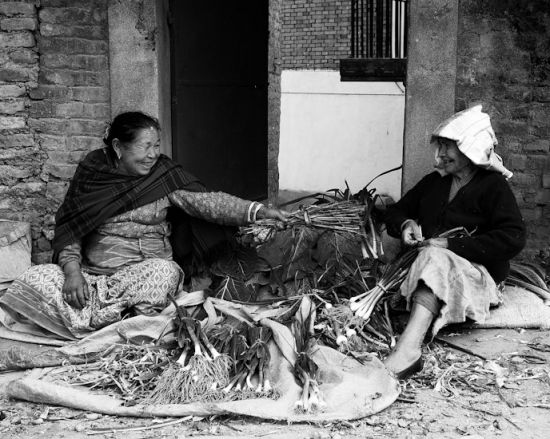 veg shop, patan