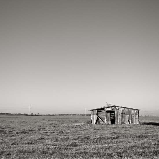 shed